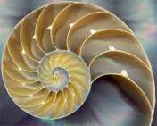 fibonacci2